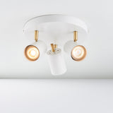 Matt white paint & satin brass plate