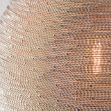 Polished nickel plate