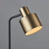 Matt antique brass plate & matt black
