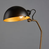 Satin black & aged brass paint