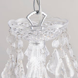 Clear acrylic & chrome plate