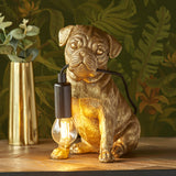 Vintage gold paint & matt black