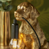 Vintage gold paint & matt black