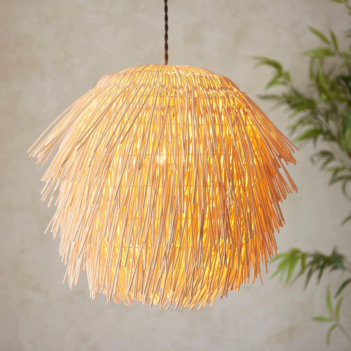 Natural rattan