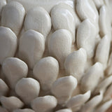 Ivory crackle glaze & brushed aged brass plate
