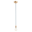 Brushed aged brass plate & blue flex