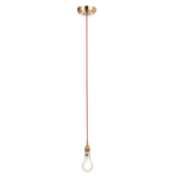 Brushed aged brass plate & red flex