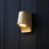 Brushed gold & frosted glass