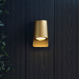 Brushed gold & frosted glass