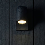 Matt black & frosted glass