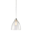 Clara Clear Glass Pendant Shade